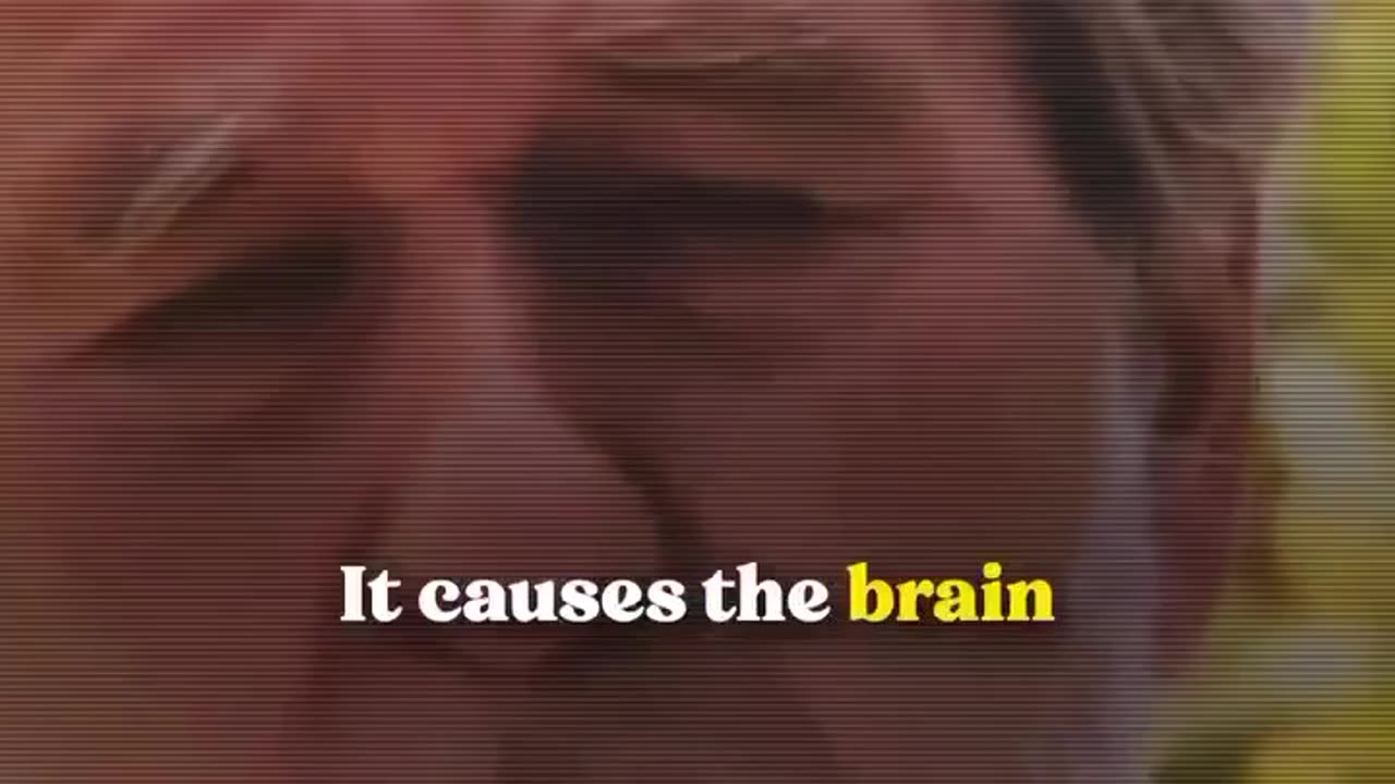FEAR CAN MAKE YOU SICK!