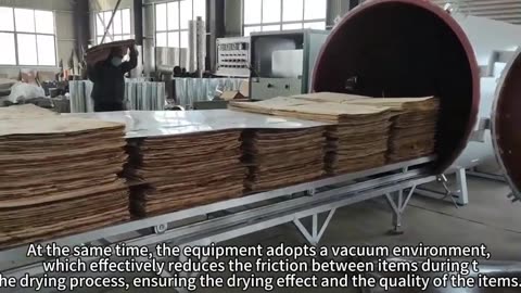 High-frequency vacuum dryer