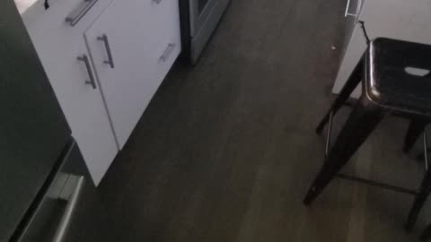 😵‍💫🤔 Lowkey Haunted? This Guy's Story Will Give You Goosebumps... | TheHauntingHour