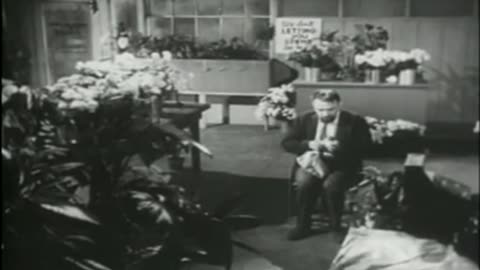 The Little Shop of Horrors (1960) | Full Movie | Classic Horror Comedy | Public Domain