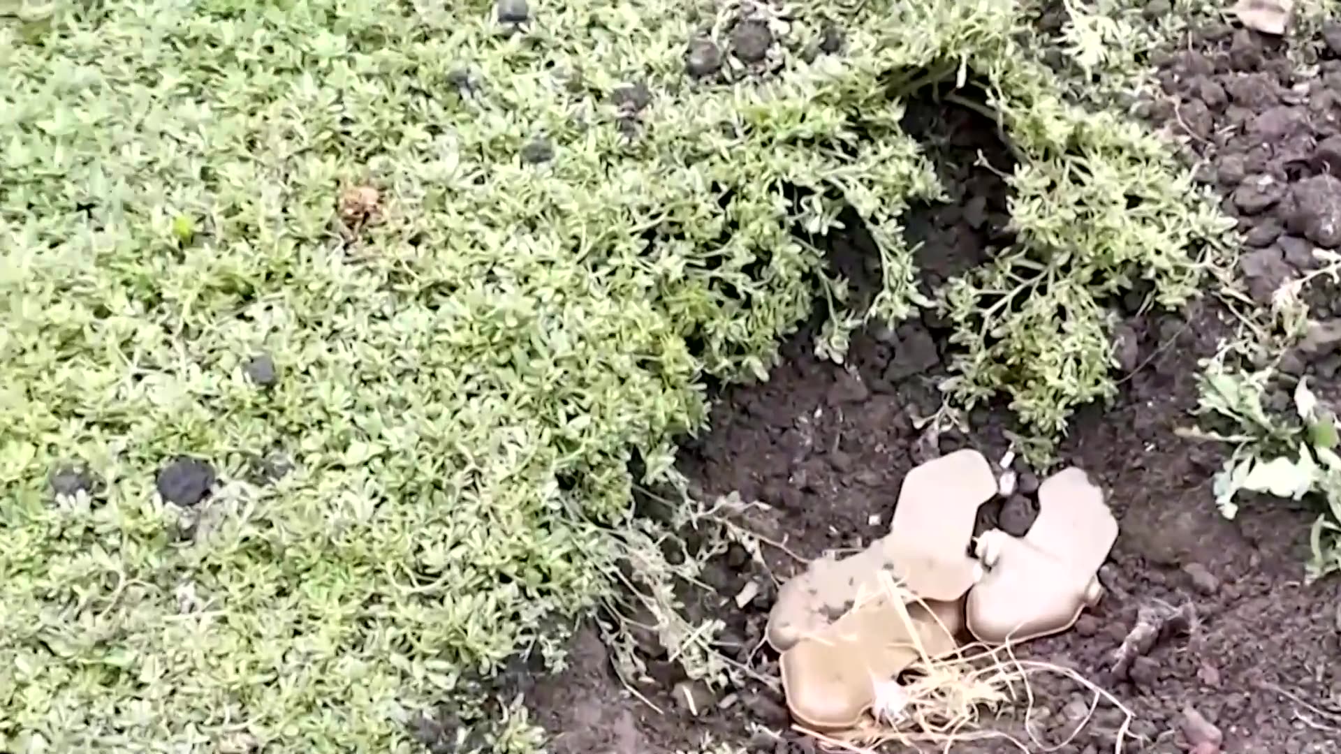 Australian innovation promises faster, safer landmine clearance