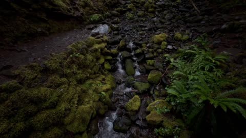 Serenity Over Olympic National Park: A Calming 4K Nature Journey
