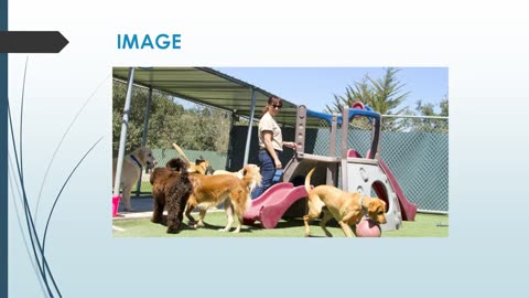 Best Pet Visits in Little Carlton