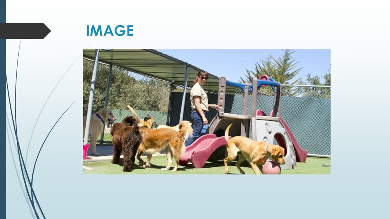 Best Pet Visits in Little Carlton