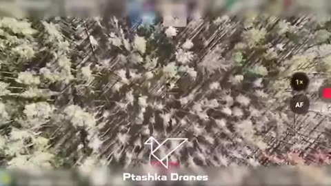 🚁🎯 Ukraine Russia War | Ukrainian FPV Pilots Shoot Down Russian UAVs with Nets | RCF