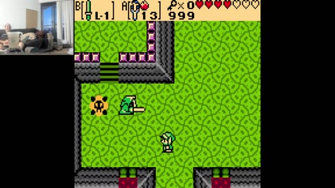 The Legend of the ZZEELLDDAA The Oracle of The Seasons (The Little Colored (Game) boy)
