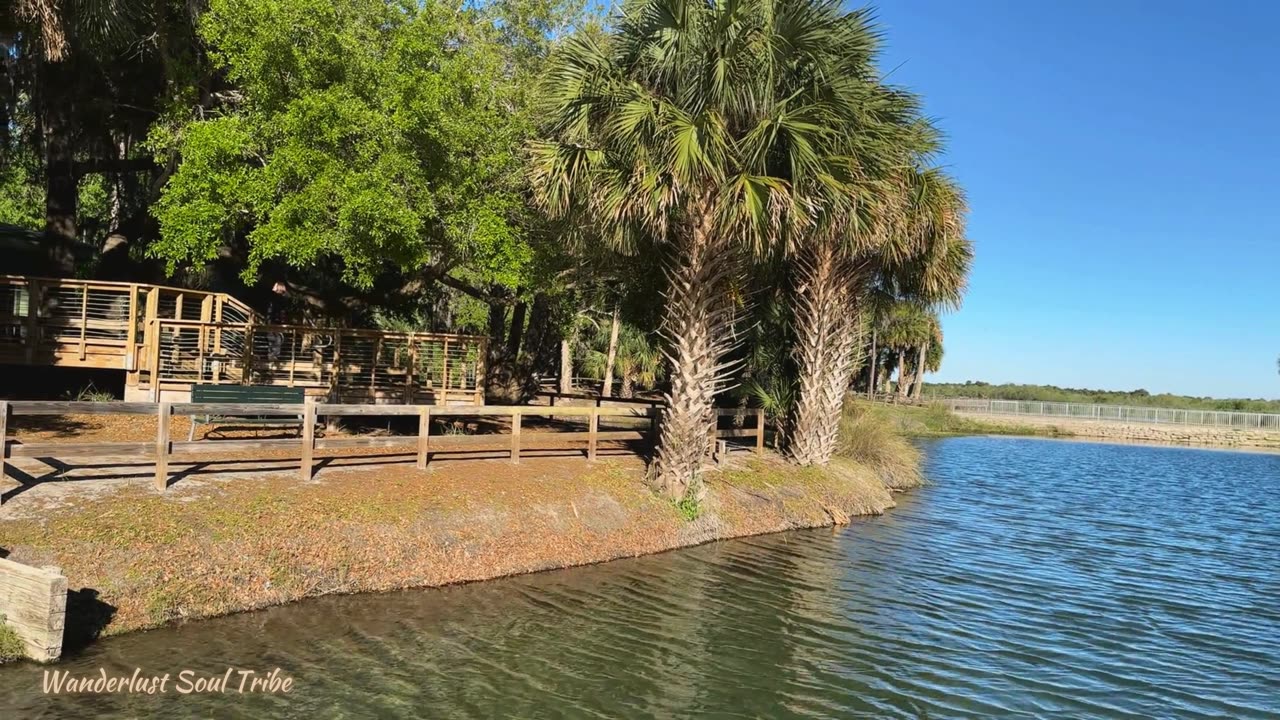 Exploring Gemini Springs: Secret Trails, Fishing, Hiking & Biking Tips!