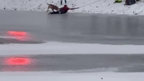 Icy Pond Dog Rescue