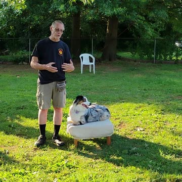 Shaping the Stay Cue short 11