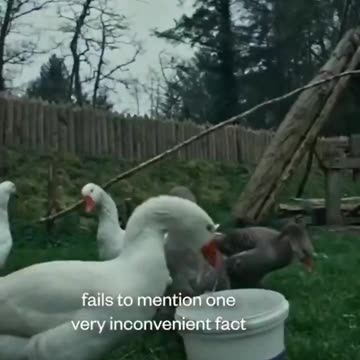 The Irish state broadcaster once tried to convince the nation that Irish history is riddled