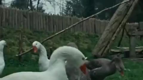 The Irish state broadcaster once tried to convince the nation that Irish history is riddled