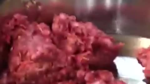Must Watch: Correcting early puppy aggression