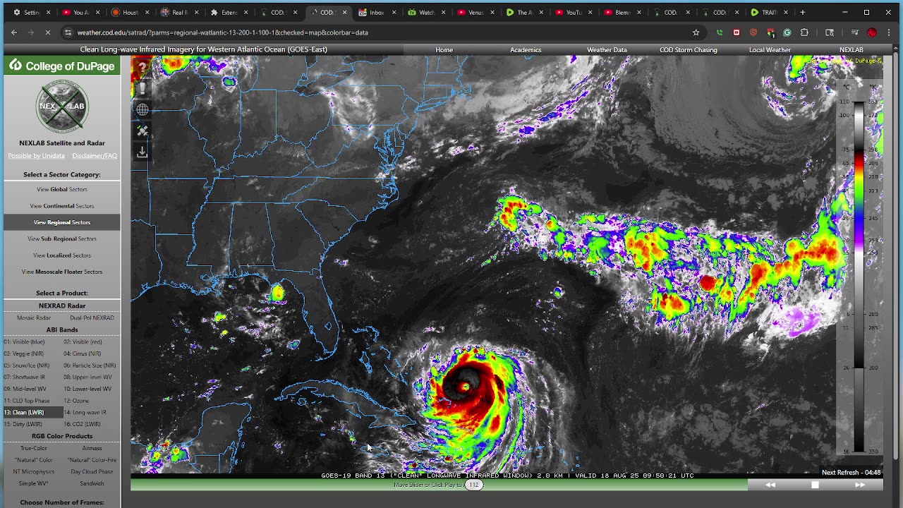 HURRICANE ERIN 2-THE SHREDDING