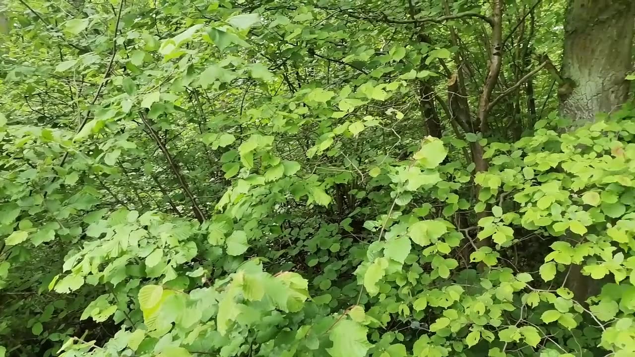 kiedy słucham cudzych historii...