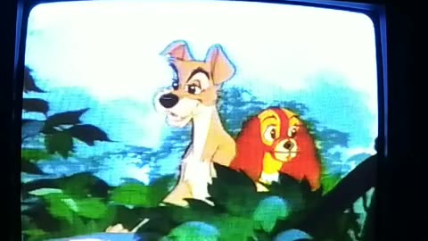 19. Lady and the Tramp VHS (1987)