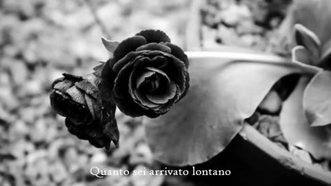 Bruce Springsteen - Secret Garden