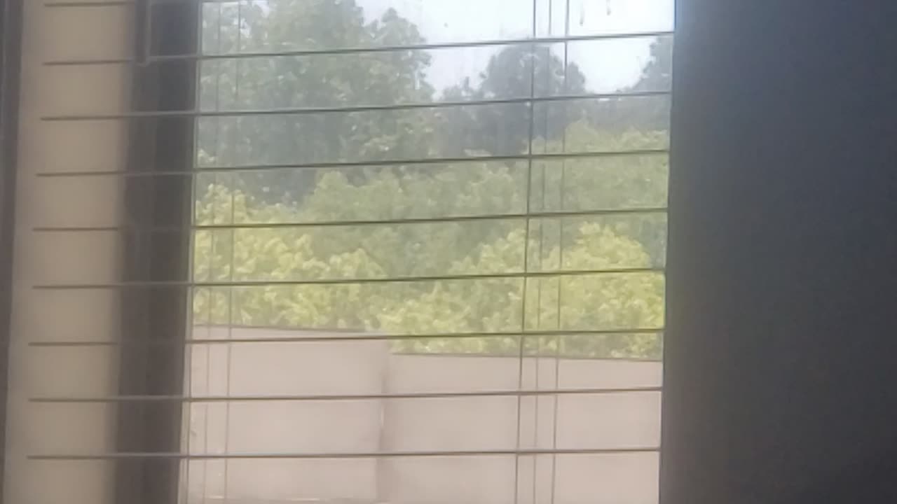 Nice day in spring