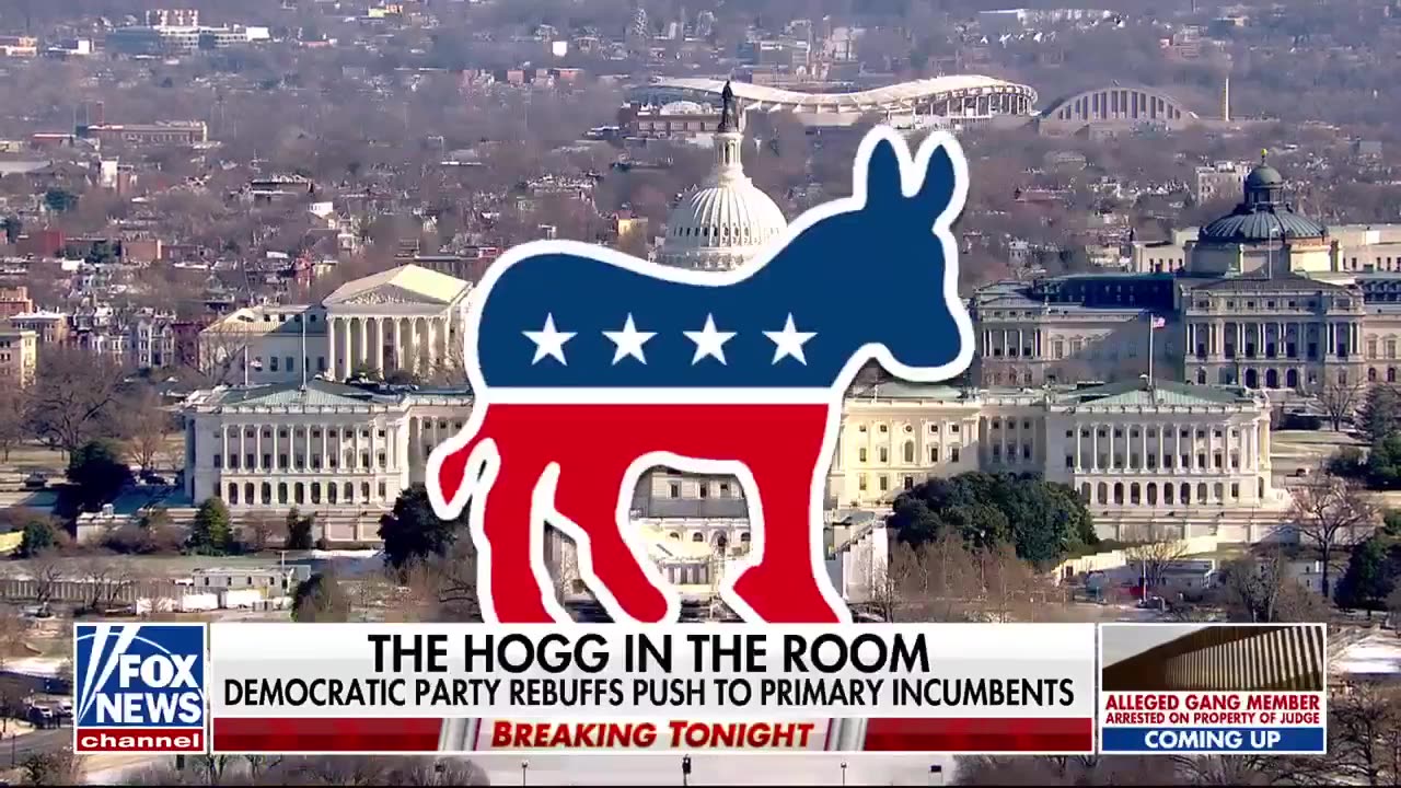 DNC leader warns members not to meddle in primaries