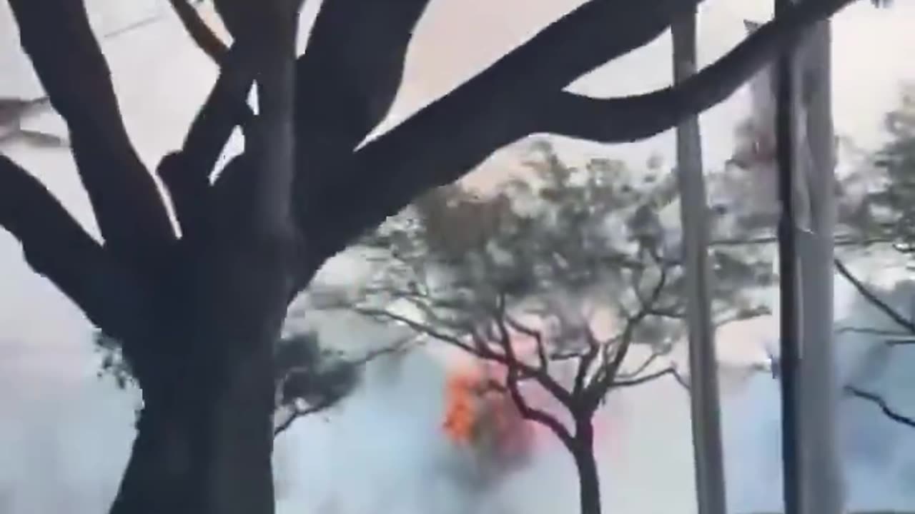 A small plane crashed Friday morning in Boca Raton, Florida.