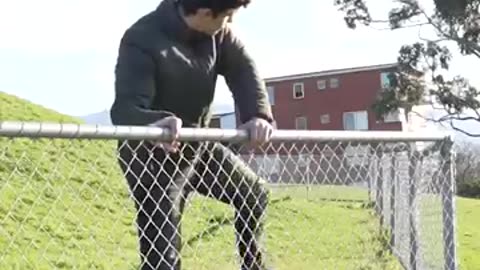 Funny animals over fence