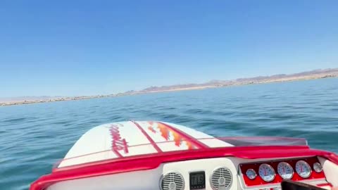 This Is Why We Live in Lake Havasu | Super Cat Fest West at Havasu Riviera Marina