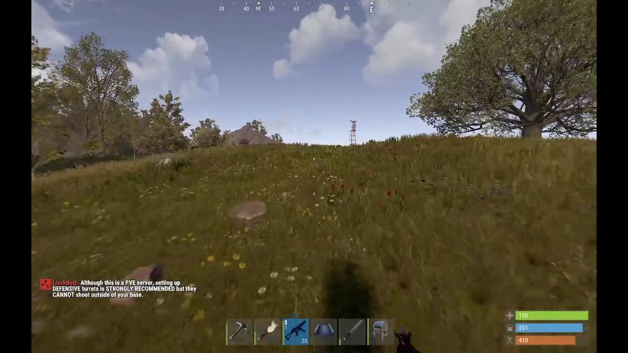 Rust PVE