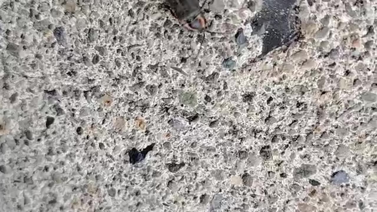 COUNTING TO ONE MILLION - VOL. 79