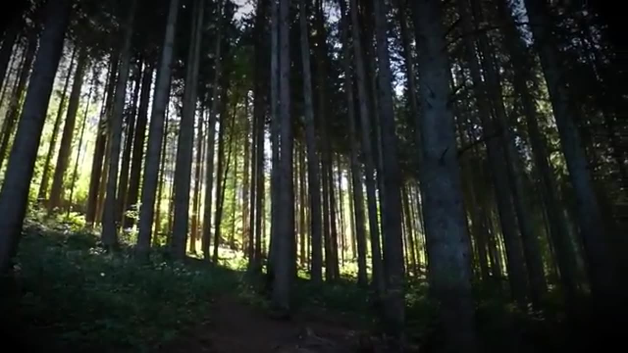 The Murder Scene That No One Could Forget True Crime Documentary