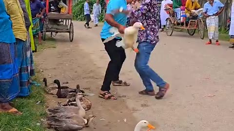 funny moments