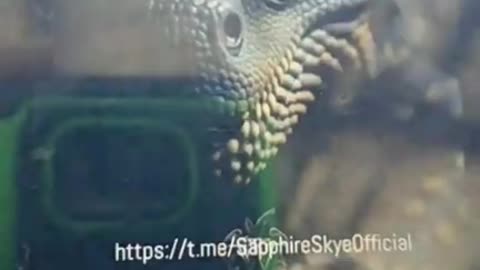 Ozempic Death Lawsuit