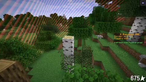 171 Live 2020-08 Two bananas for sale UHC w Patrons