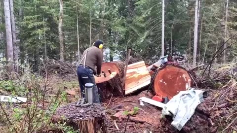 Splitting wood.