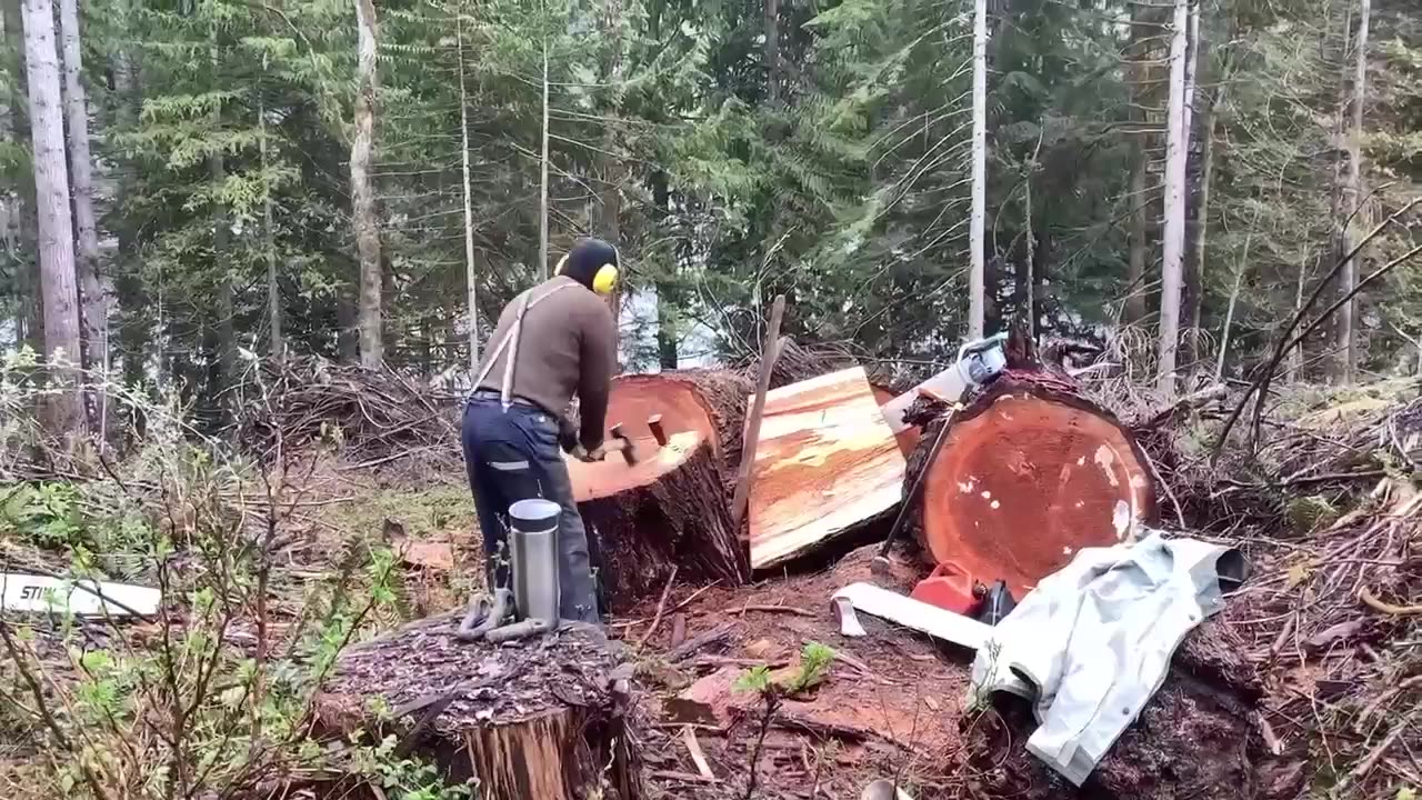 Splitting wood.