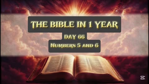 Day 66 of 365 (THE WHOLE BIBLE)