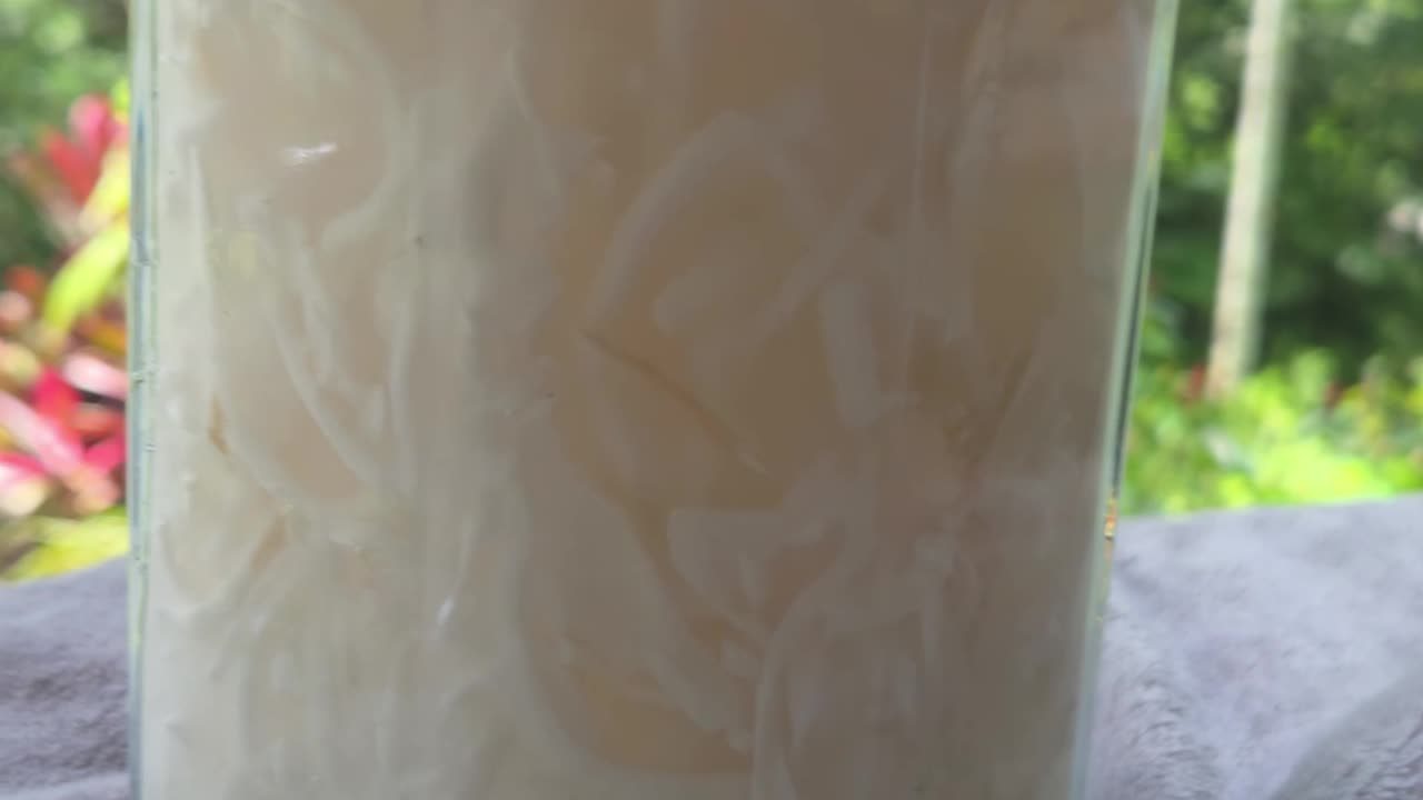 Fresh Buko Juice at the Farm 🇵🇭 | Expat Life in the Philippines