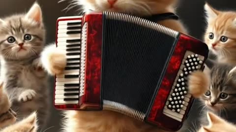 Pinocchio Kittens