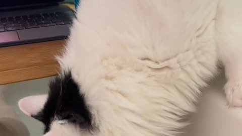 😂🛁 Dave Hates Baths But Can’t Look Away! | FunFM