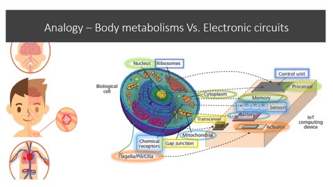 The novel paradigm of the Internet of Bio-Nano Things (IoBNT) is introduced in this presentation. It stems from synthetic biology and nanotechnology tools that allow the engineering of biological embedded computing devices