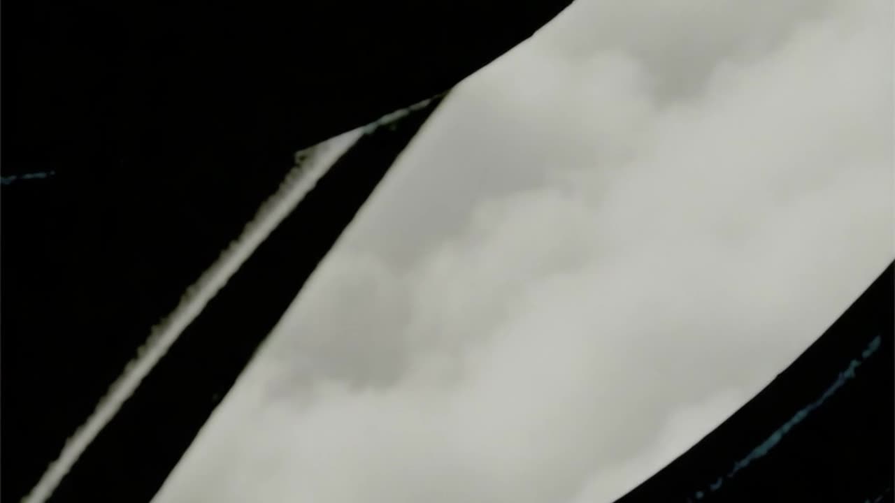 WAV - Contemplate Swings