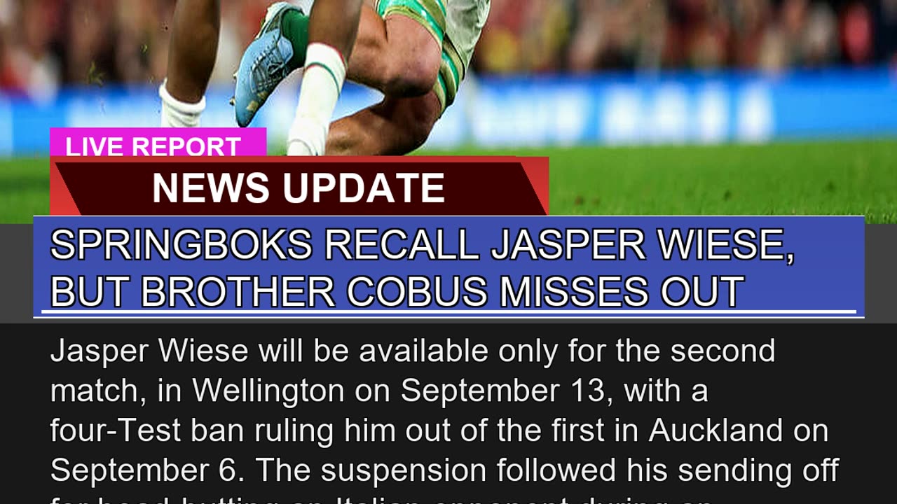 Springboks Recall Jasper Wiese But Brother Cobus