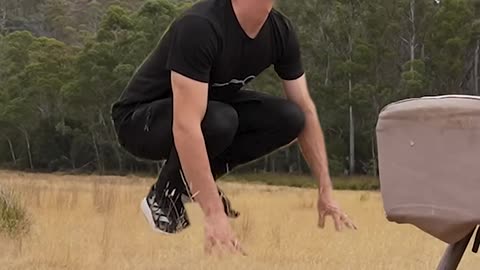 Imitating Animals