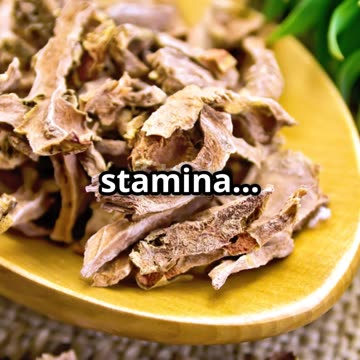 🔥 ECHO-XEN: The Secret to UNLIMITED Natural Energy! (Try It NOW!)