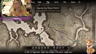 Chicken Live Stream