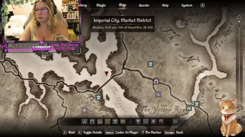 Chicken Live Stream