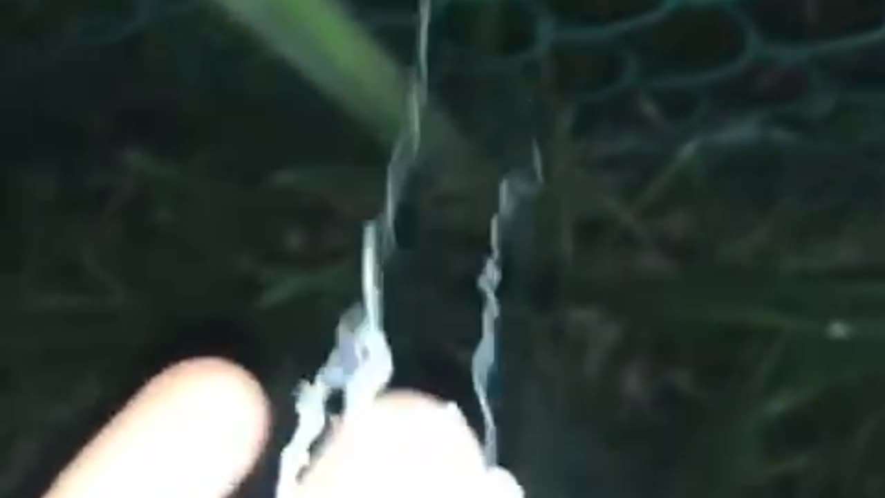 filamenti3