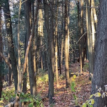 DO YOU AGREE WITH ME?