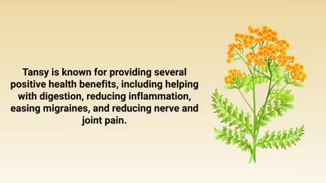 Top 10 Best Herbs for Parasites (Natural Detox and Cleanse)