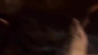 In Paris, savages attack two defenseless young girls.