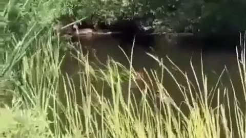 🌊😱 It Demands Its Due! Watch the River's Fury | FunFM