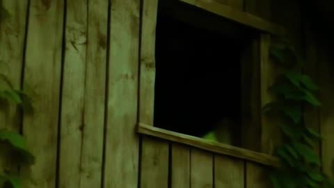 What Lives in the Treehouse?